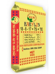 Phân bón NPK EUR 18-8-17+7S+TE