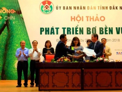 Đắk Nông: Thú vị với tuần lễ ‘Mùa bơ chín’
