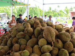 Tư thương Trung Quốc mua gom tới tấp hạt sầu riêng để làm gì?