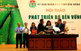 Đắk Nông: Thú vị với tuần lễ ‘Mùa bơ chín’